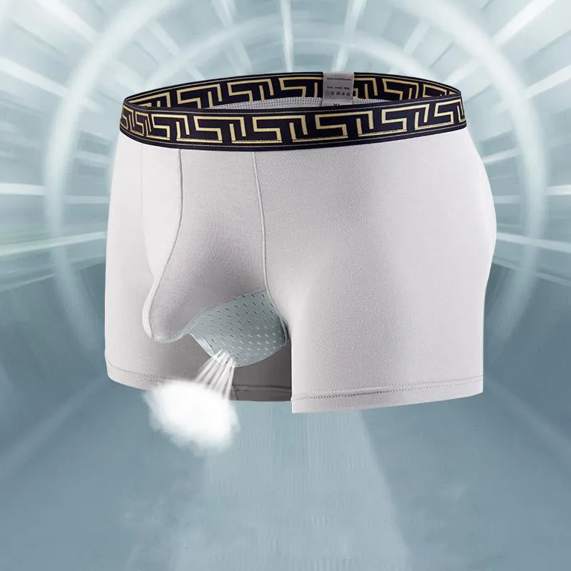 Dual Pouch - Men's Patterned Waistband Modal Underwear (3-Pack) JEWYEE 8002