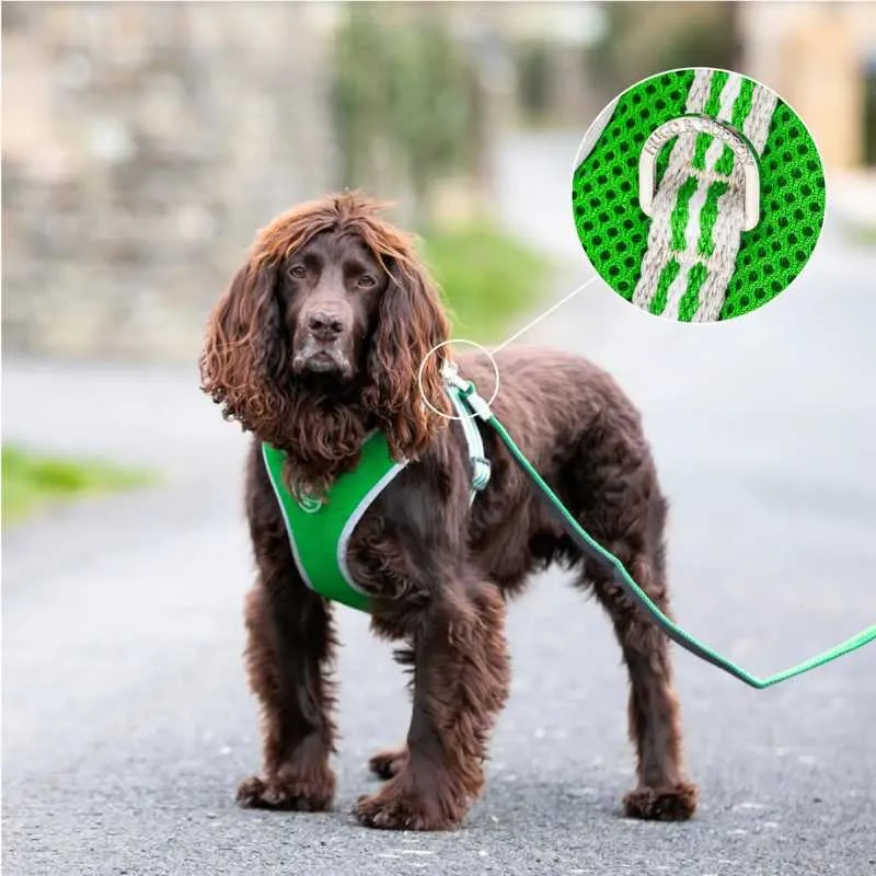 Green Mesh Dog Harness