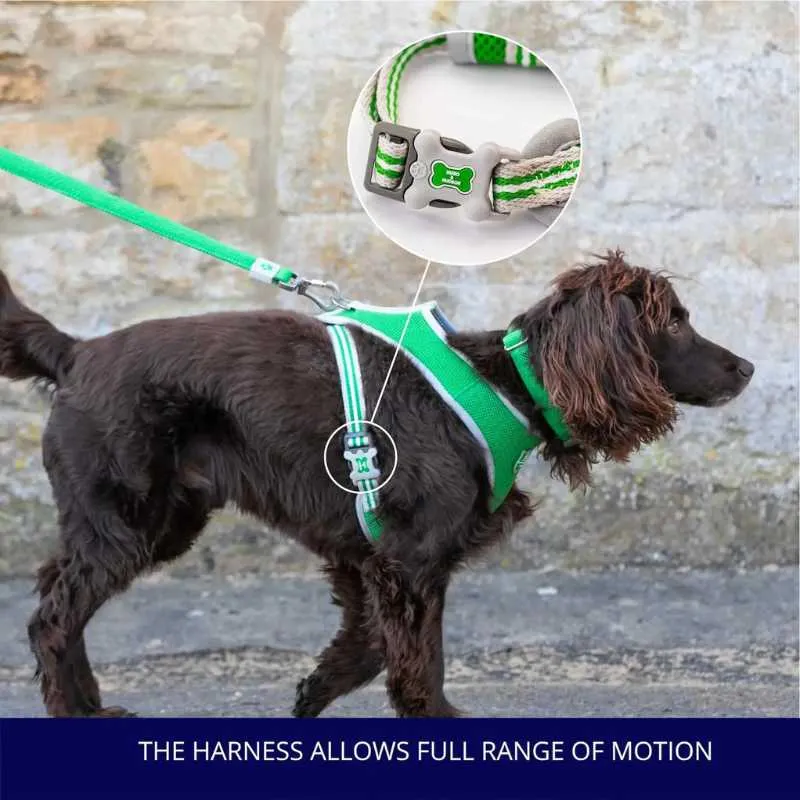 Green Mesh Dog Harness