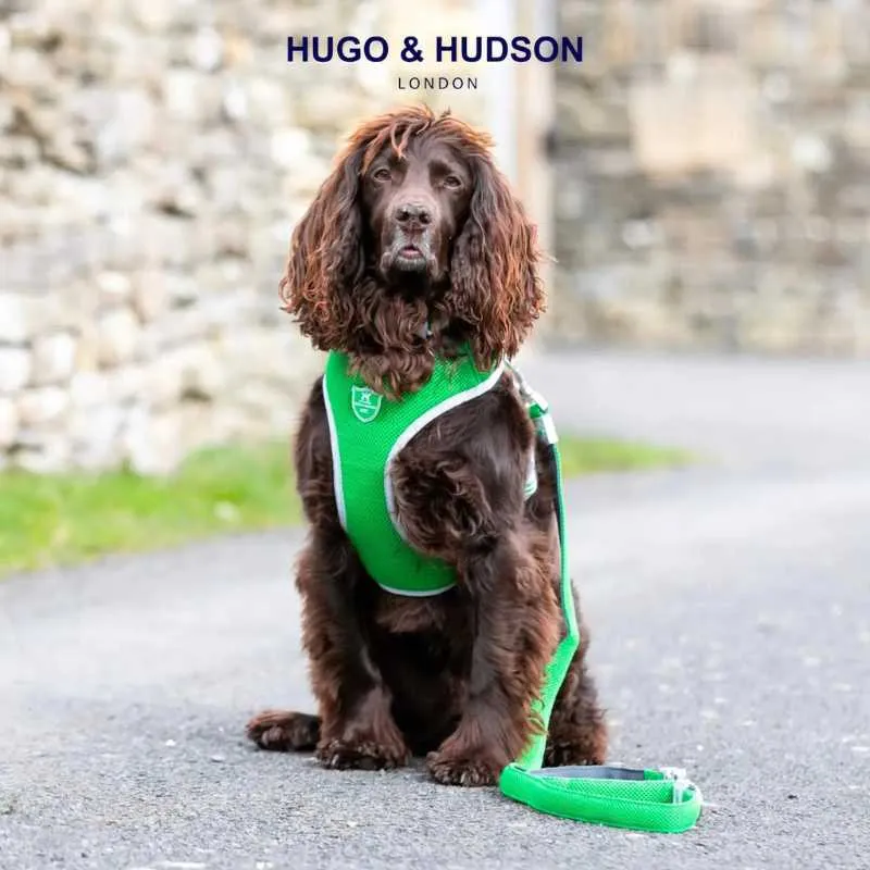 Green Mesh Dog Harness