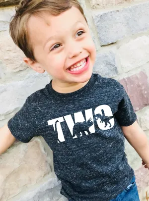 Two Dinosaur Birthday Shirt Shirt